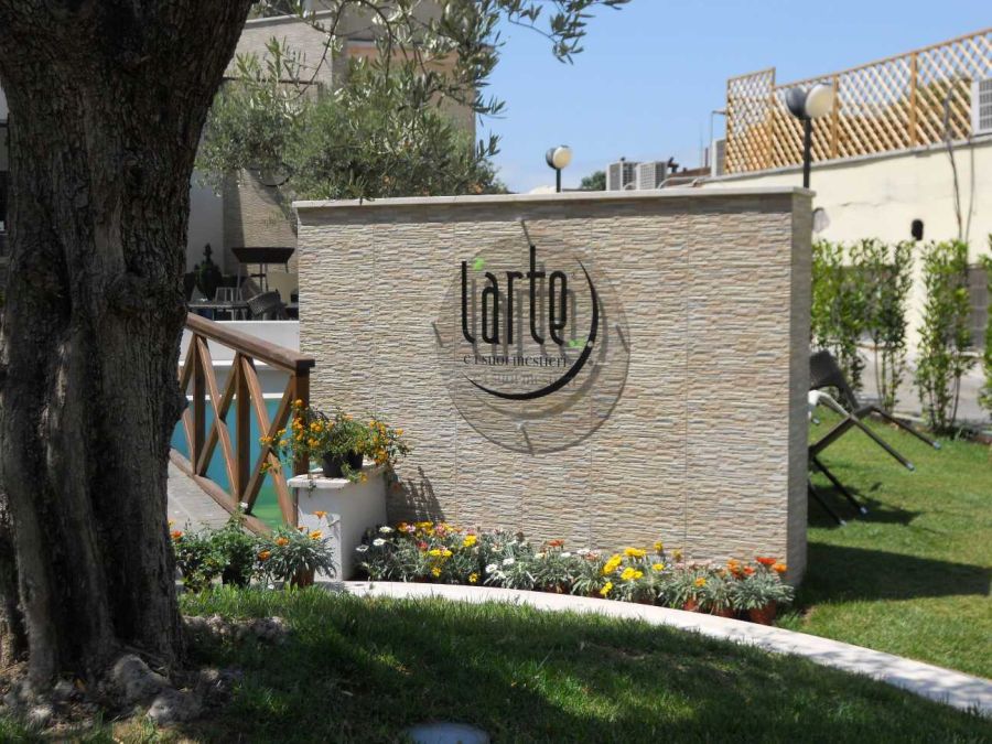 Arte e i suoi Mestieri - Progetto Peluso